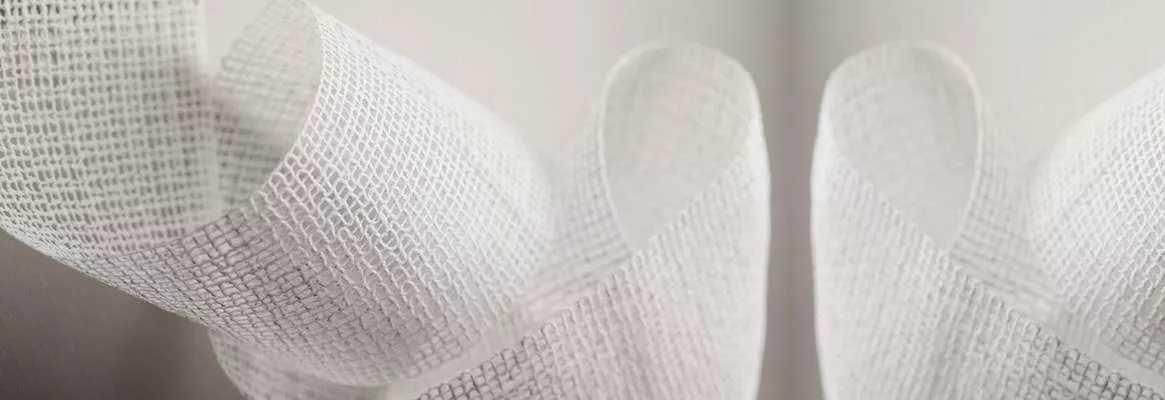 Tissue Engineering_big