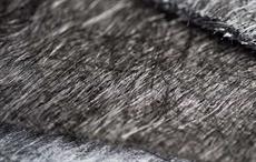 Courtesy: ELG Carbon Fibre